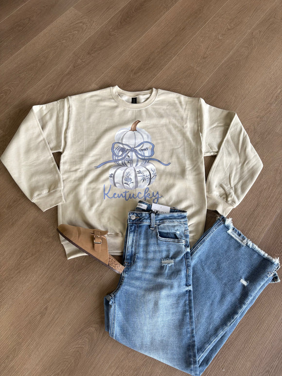 Kentucky blue pumpkin sweatshirt