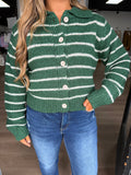 Green & taupe striped collared sweater