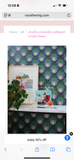 clearly a-nora-ble scalloped acrylic frame