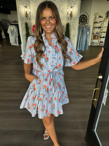 Blue & white striped floral dress