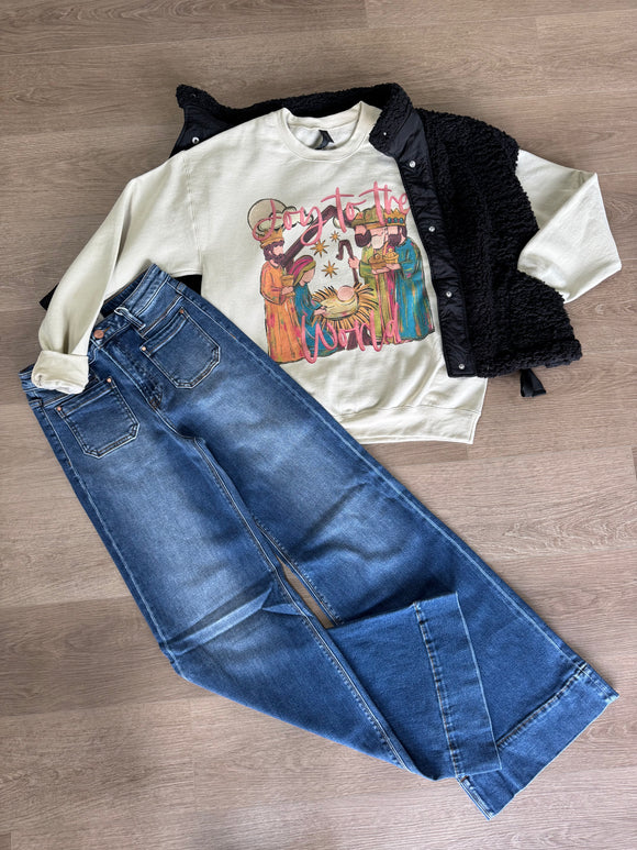 Joy to the world sweatshirt